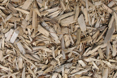 biomass boilers Cwmtillery